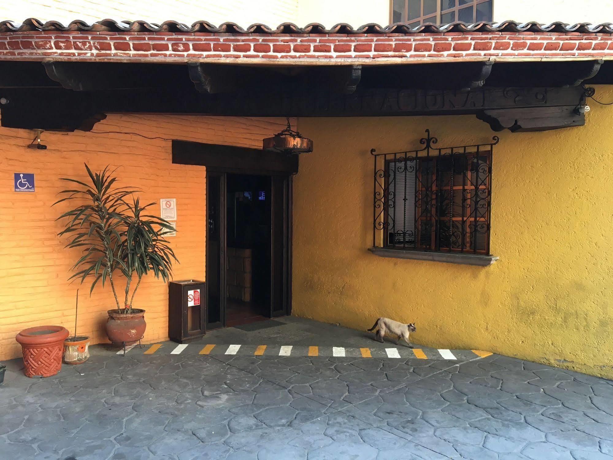 Hotel Playa Internacional Mexikóváros Kültér fotó